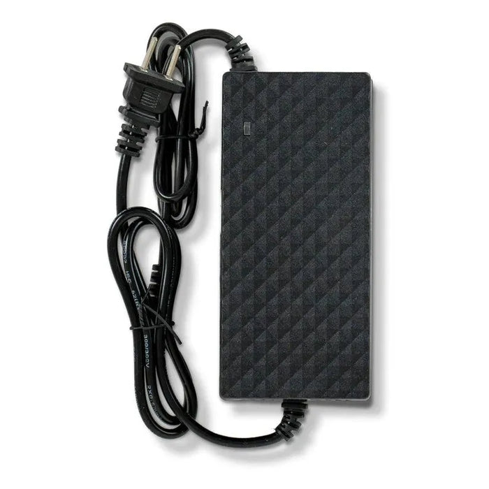 Bangeran Dragon Mobile EX Replacement Scooter Charger