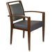 Dining Arm Chairs for Seniors  DCA300-B