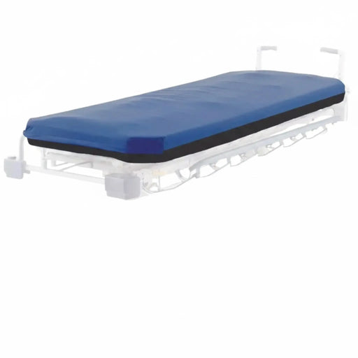 Dolphin FIS (Fluid Immersion Simulation) Stretcher Pad