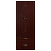 Medacure Contemporary 2 Door 2 Drawer Wardrobe front view in mahogany finish