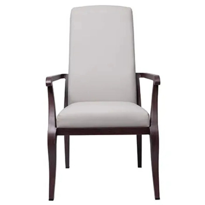  Resident Arm Chair for Assisted Living  Gray Color  front view