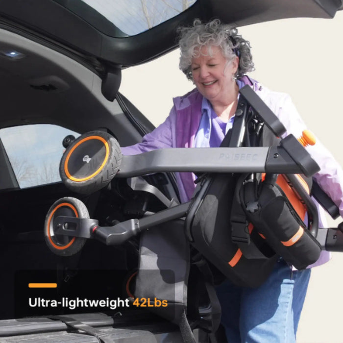 Paiseec W1 2-in-1 Folding Electric Wheelchair