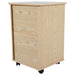 Rear view of CostCare BZC330 bedside cabinet in oak finish with woodgrain panel design and caster wheels.
