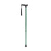 Drive Medical adjustable T-Handle Cane forest green