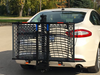 Wheelchair Carrier Patriotic electric scooter lift mounted on rear of white car