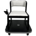 ZiiRobot FurnBOT C1 smart chair front view